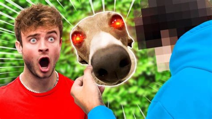 Who Is YouTube Star Veshremy And Has He Done His Face Reveal?